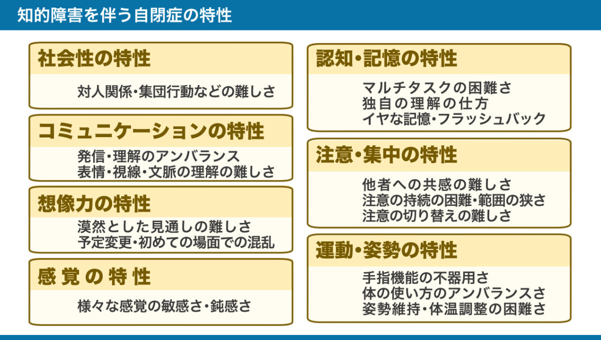 知的障害を伴う自閉症の特性の図。詳しくは以下本文。